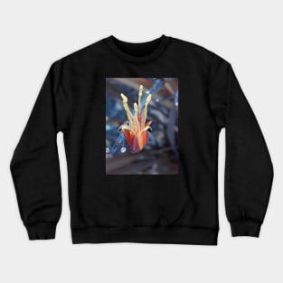 Unique Flower Colorful Photography My Crewneck Sweatshirt